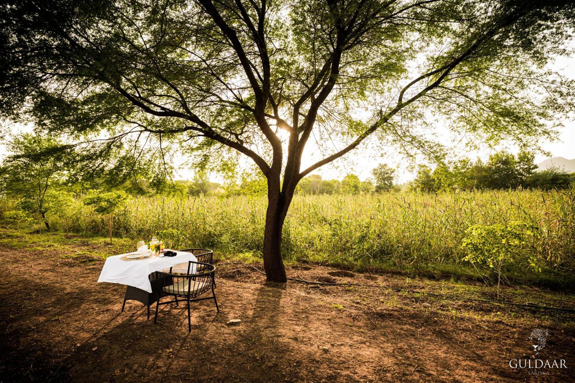 Guldaar Sariska - A Luxury Forest Resort Tehla Exterior photo